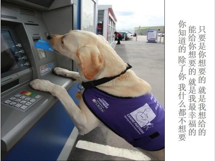 我只想说声爱你,只想再爱你一次