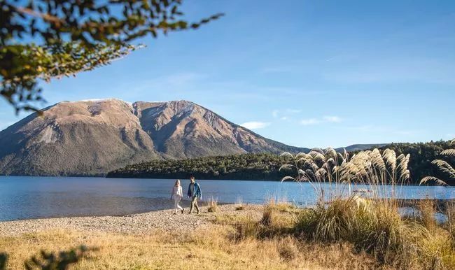 新西兰自驾旅游攻略,新西兰北岛到南岛自驾攻略