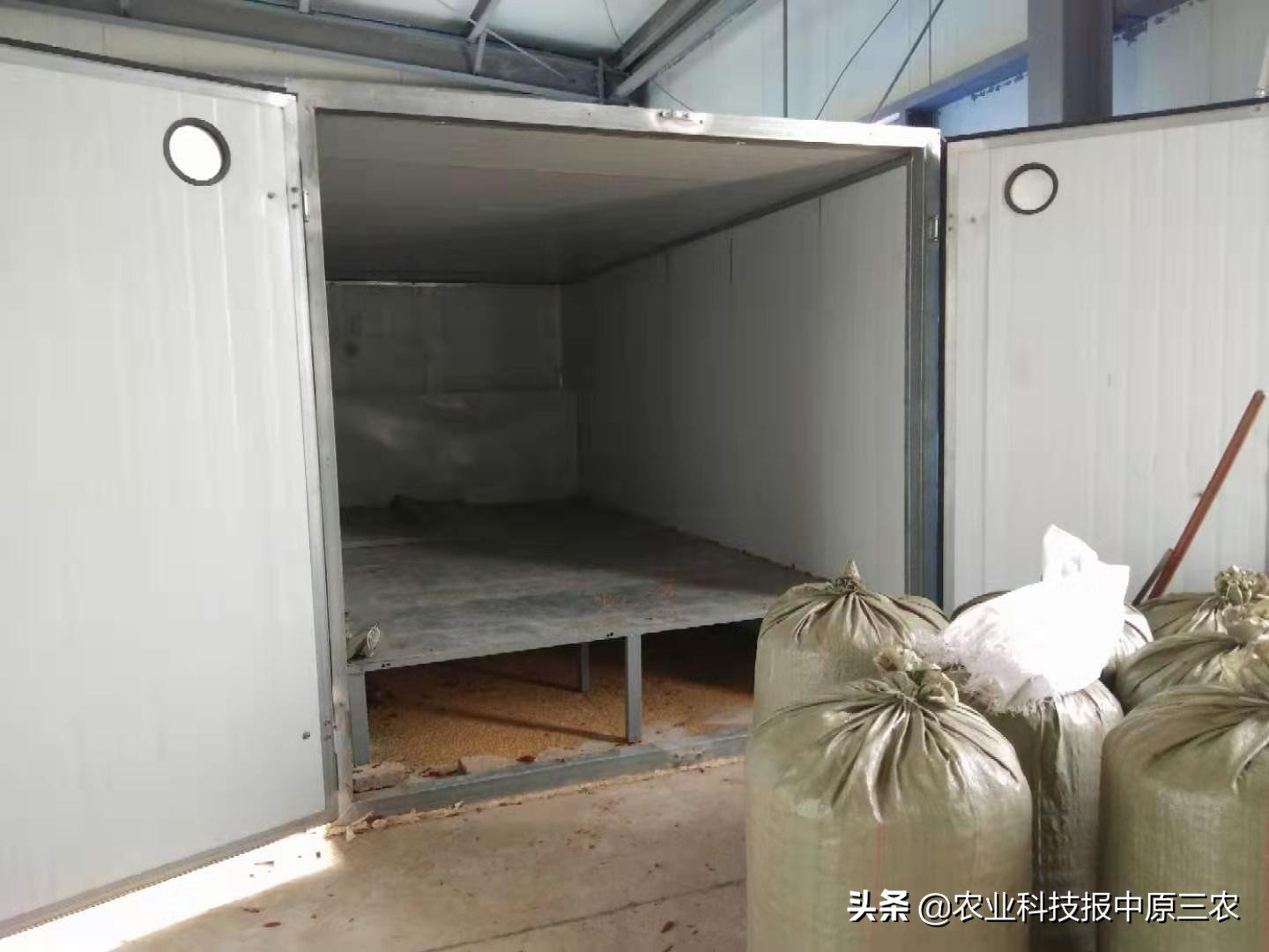 花椒怎么才能丰产,花椒丰收价格最新