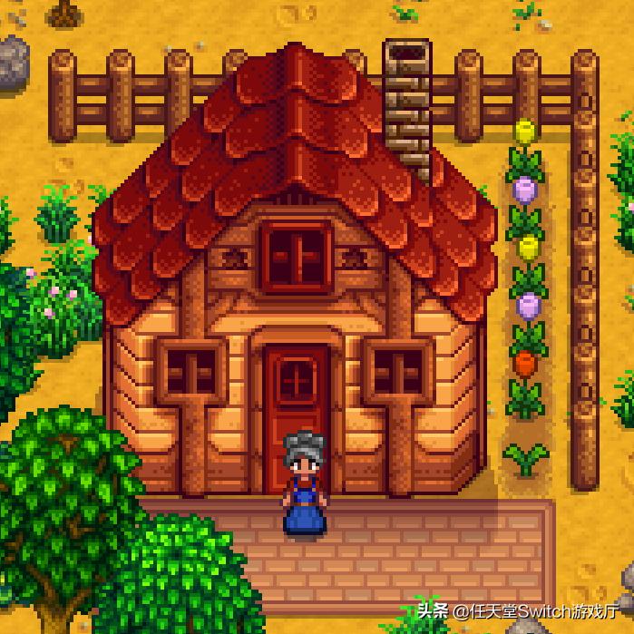 星露谷物语的结局是什么,星露谷物语1.4新手入门攻略