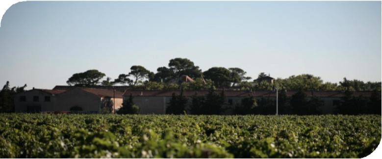 法国维克多代表作,法国维克多的代表作品有哪些