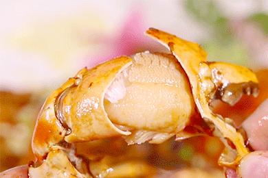 10张图片告诉你,100张渔船图片