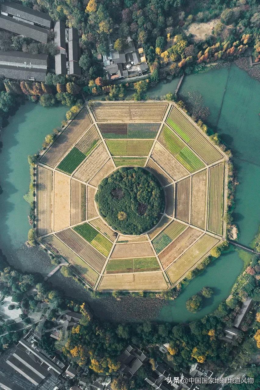 中国种水稻的省份地图,14亿大米图片