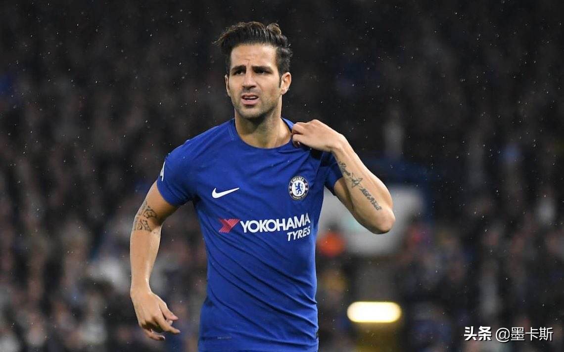 法布雷加斯的传球,法布雷加斯西班牙国家队