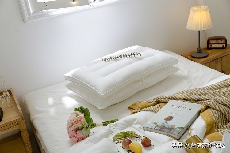 家纺枕芯基础知识培训,家纺枕头枕芯有哪些