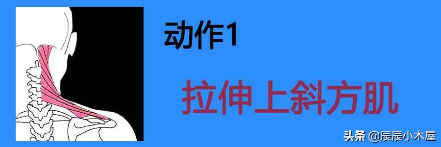 肩颈疼痛拉伸动作教学视频,拉伸提高气质缓解肩颈不适健身操