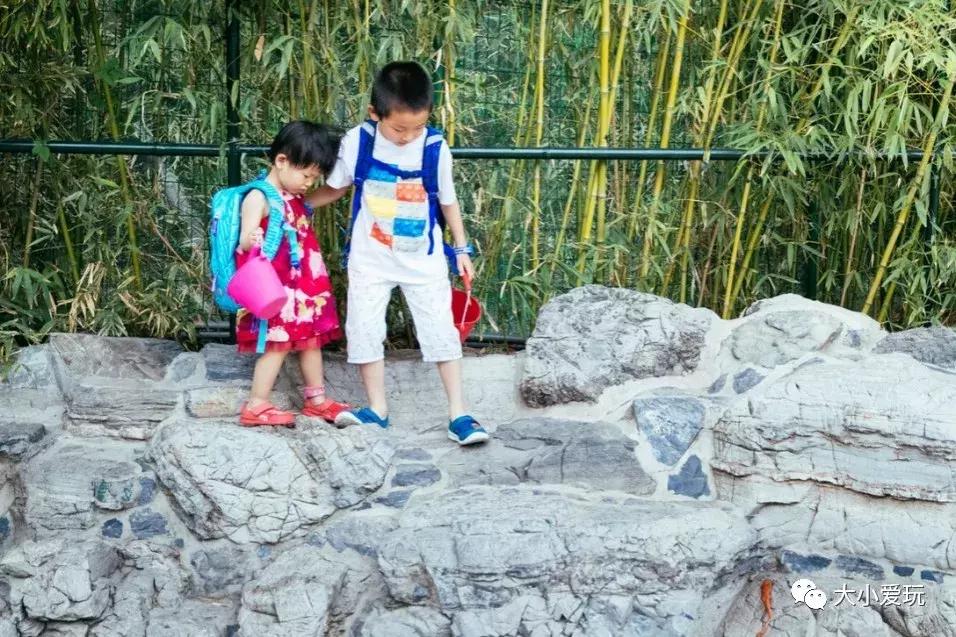 适合旅行带的遛娃神器,沙滩遛娃必备工具有哪些