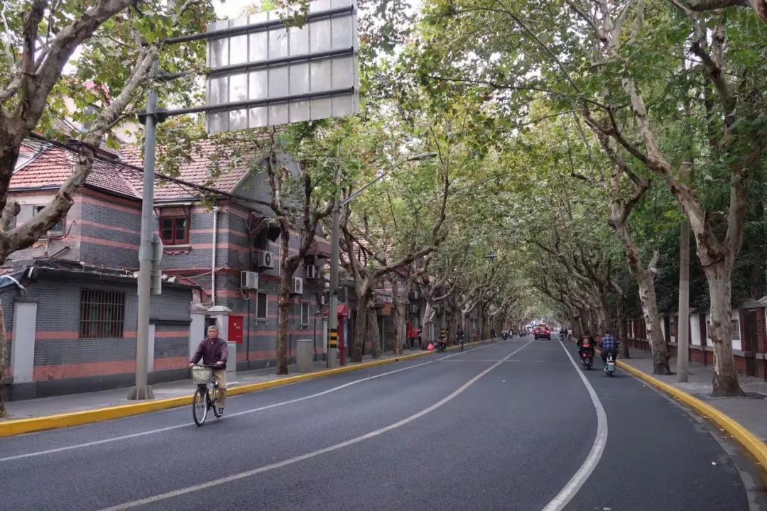 魔都这些秋日网红马路，不仅好看还很好吃