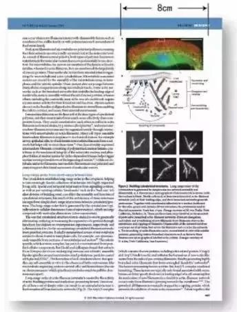 国际sci期刊论文写作与发表,一篇sci论文需要哪些图片