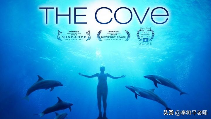 300万头鲸鱼的悲歌，欧美和日本的黑暗捕鲸史，它们驮着欧美文明