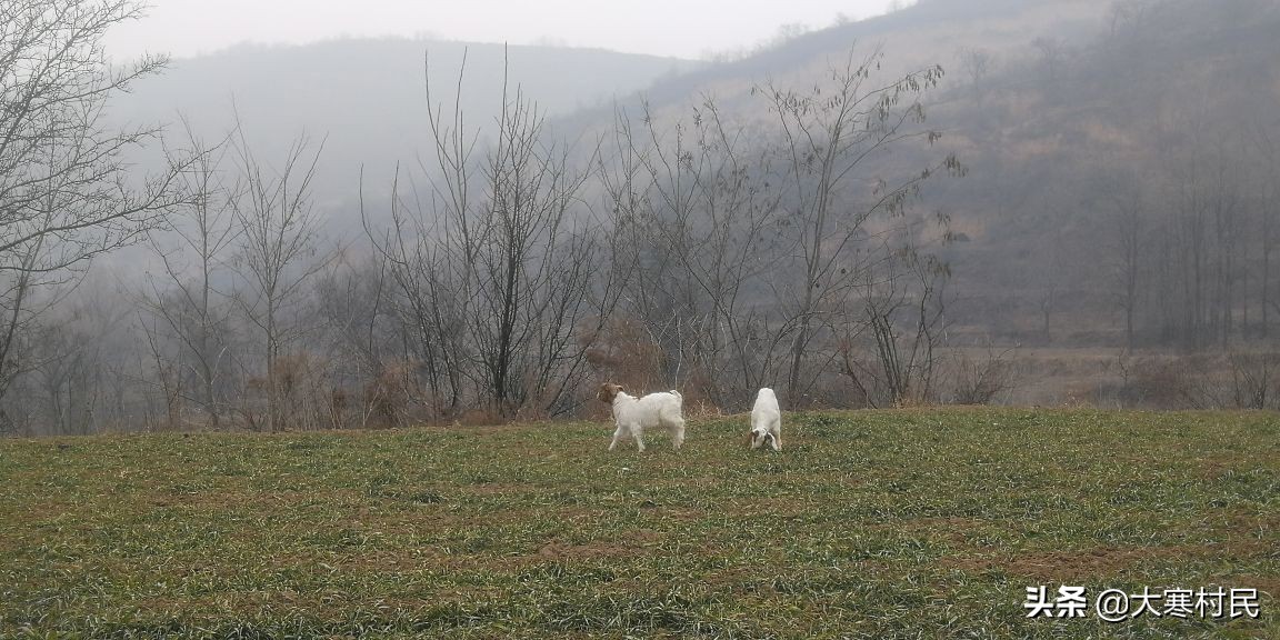 想象春天,想象中的春天