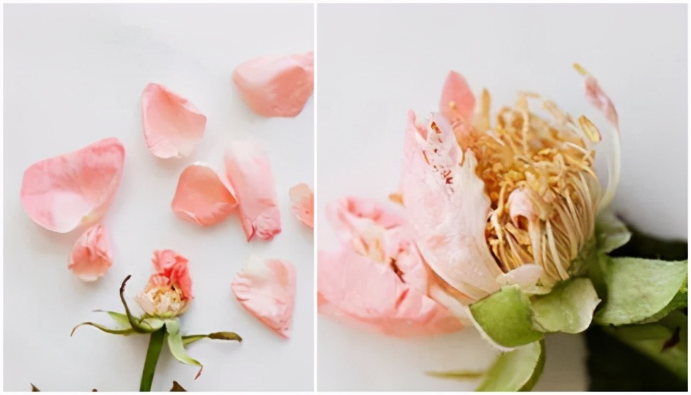 保护女性“聚宝盆”，远离难“炎”之隐