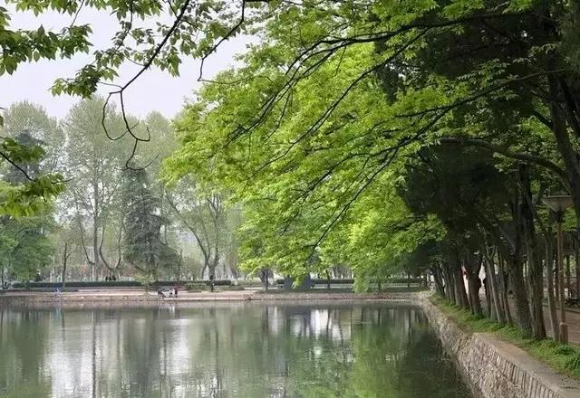 南京的春天,南京的春天视频