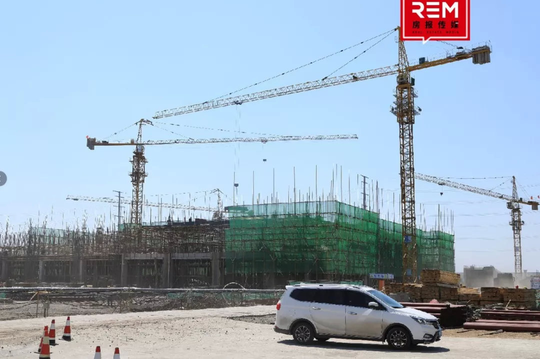 逆袭！原以为它抢了一块普通地块，结果是「亿万富翁」，它摊牌了