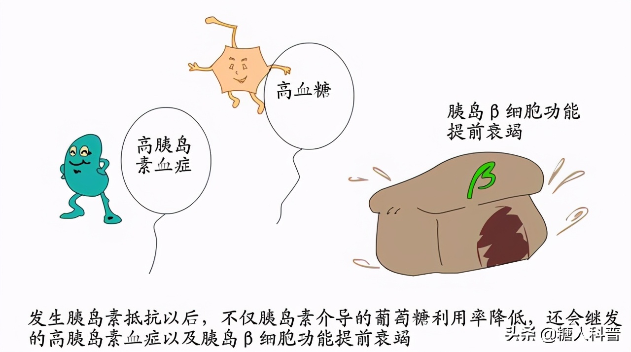 消除胰岛素抵抗最好的食物,喝橄榄油可以消除胰岛素抵抗