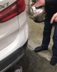 这只鹦鹉一直以为他是一只猴，所以每天都在重复做这个动作