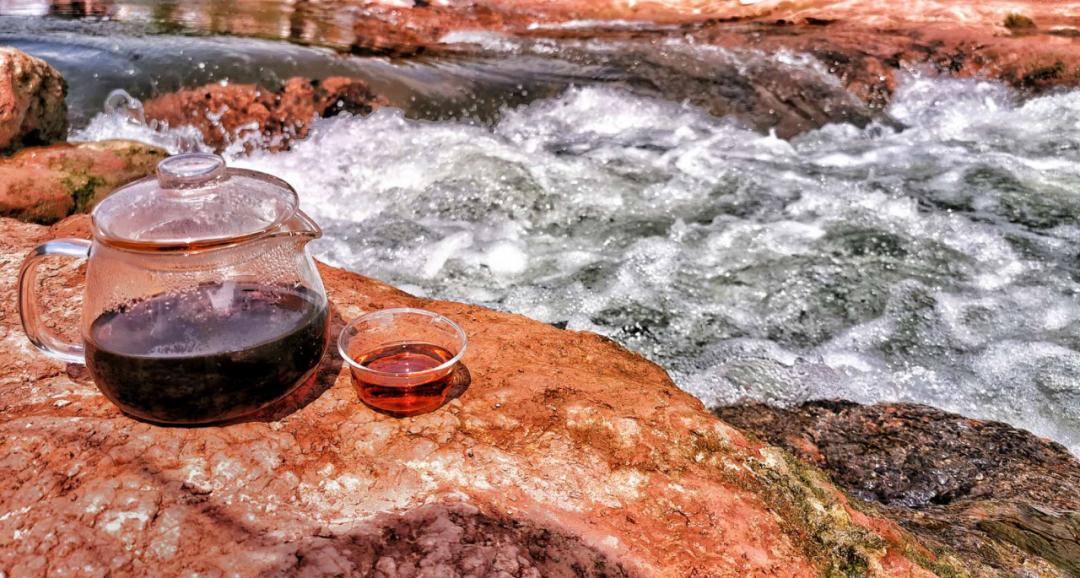 春林花多媚视频讲解,春林花多媚图片