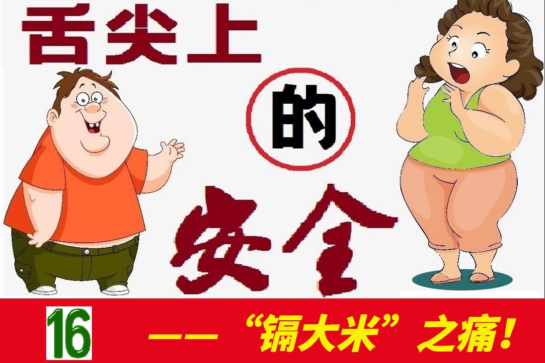 舌尖上的安全感悟,舌尖上的安全全册