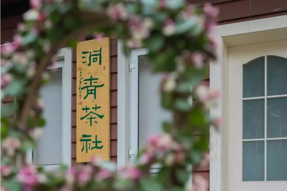 青城山熊猫谷都江堰一日游攻略,熊猫谷青城山都江堰一日游攻略