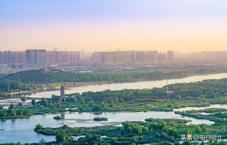 疫情后石家庄人最想说的一句话,疫情后的石家庄会有政策吗