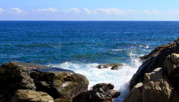 我的海南之旅作文,从海口到三亚感受海南的无限魅力