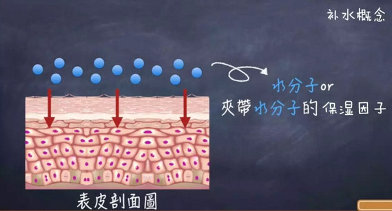 堪比科颜氏白泥的其他护肤品,堪比科颜氏精华