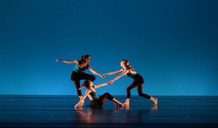 威廉玛丽学院文理学院,威廉玛丽学院