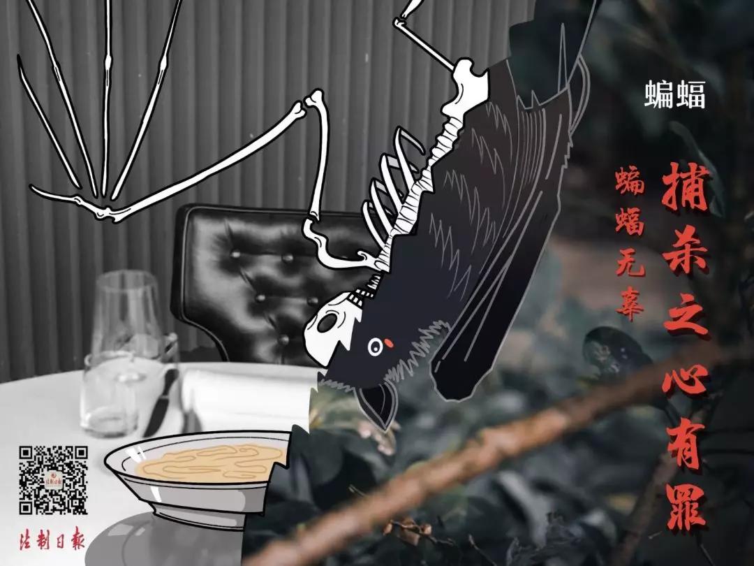 拒绝野味漫画图片,敬畏自然拒绝野味漫画