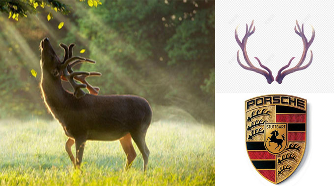 从十级车迷变成硬核对手!*博兰**等奢华品牌背后猜不到的神转折!