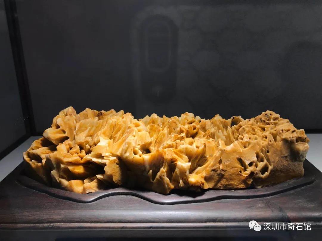 2022杭州金奖黄蜡石,浙江省黄蜡石欣赏一下