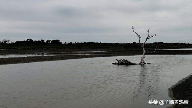 达里诺尔湖达达线,内蒙达里诺尔湖旅游攻略