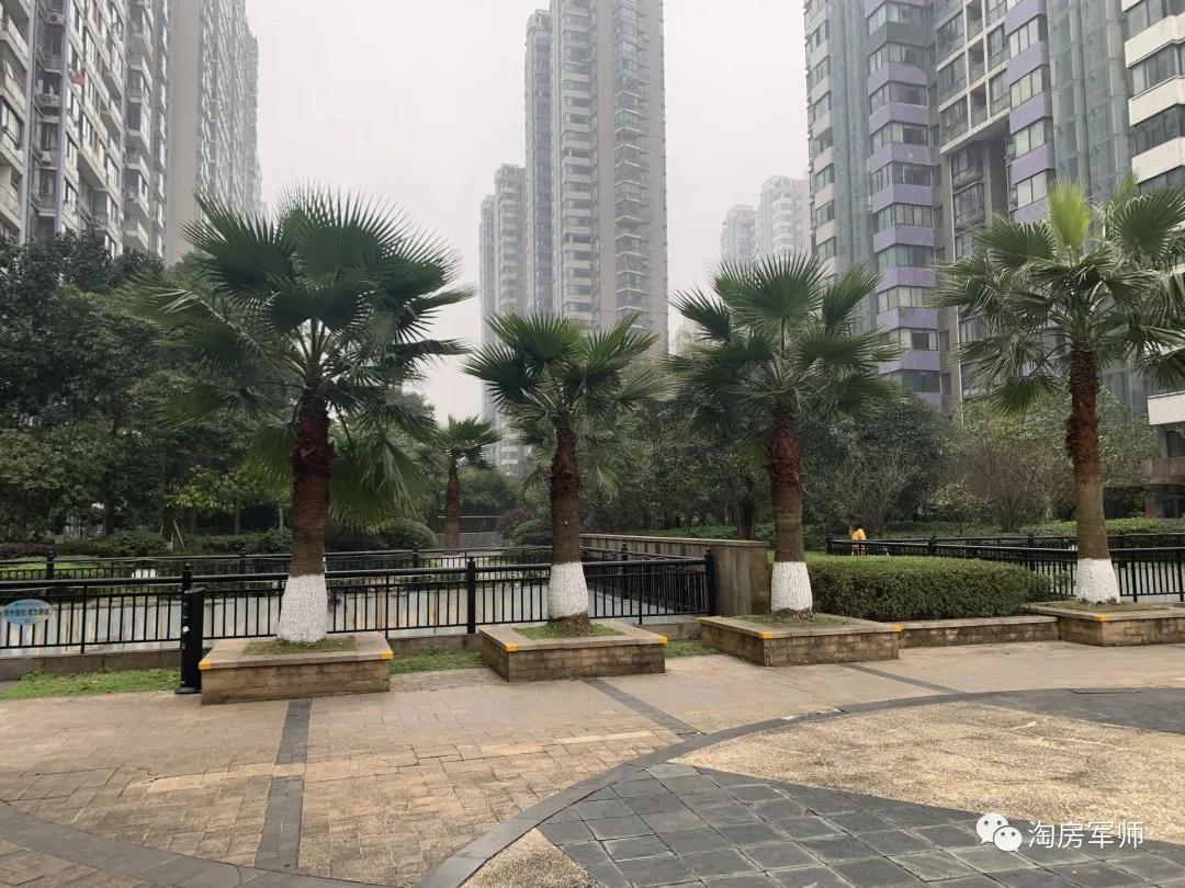 踩盘五矿壹云台,踩盘保利滨江和著