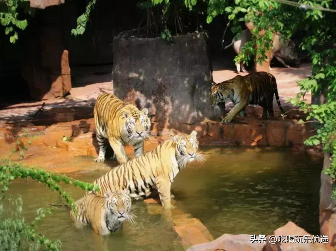 「国庆欢乐提前购」早买优惠！佛山5A长鹿休博园双人套票158元起