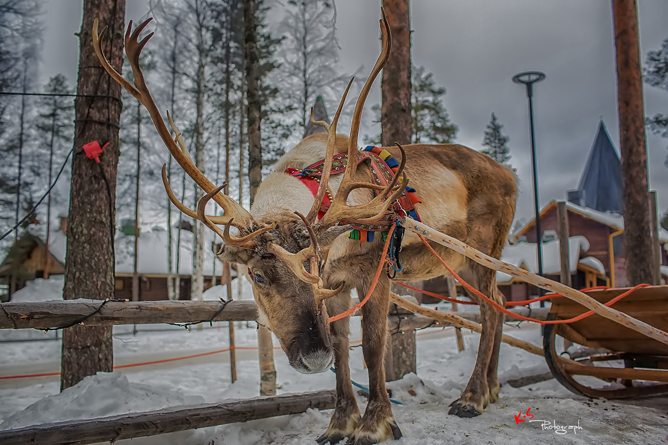 果小姐的慢生活之冰雪奇缘