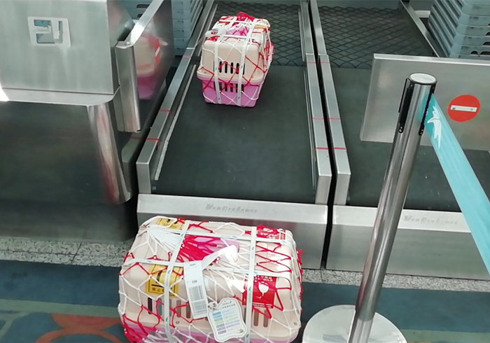 火车托运猫咪可以提前取回家吗 (大巴车托运猫咪需要注意什么)