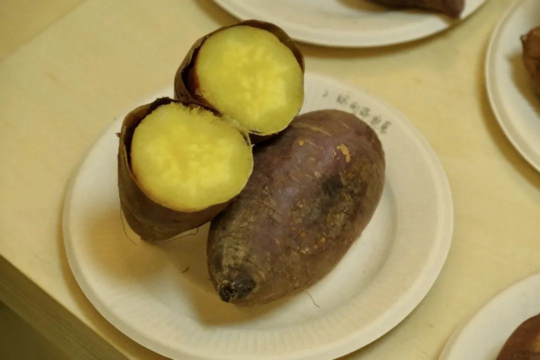 盒马大赛,盒马挑战赛