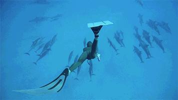 深海的生物怎么呼吸,深海生物能生活在浅水吗