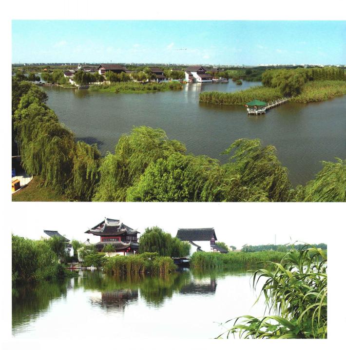 沙家浜是当今的哪个地方,真正的沙家浜在常熟吗