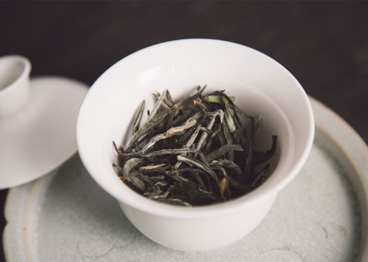 建阳白茶哪个品种最有名,建阳白茶简介资料