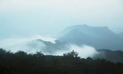 非遗政和白茶技术,非遗乌龙茶制作技艺