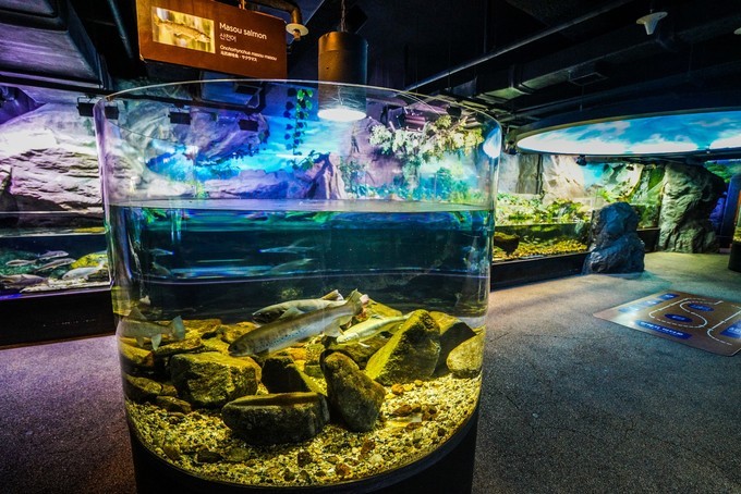 新手怎么逛免税店攻略,50家免税店最划算攻略在此