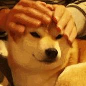 白带增多有点发黄是什么原因,白带增多发黄是癌症吗