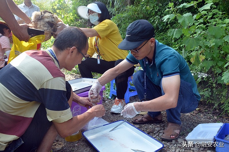 融安县开展2021年动物产品质量安全监督抽检工作