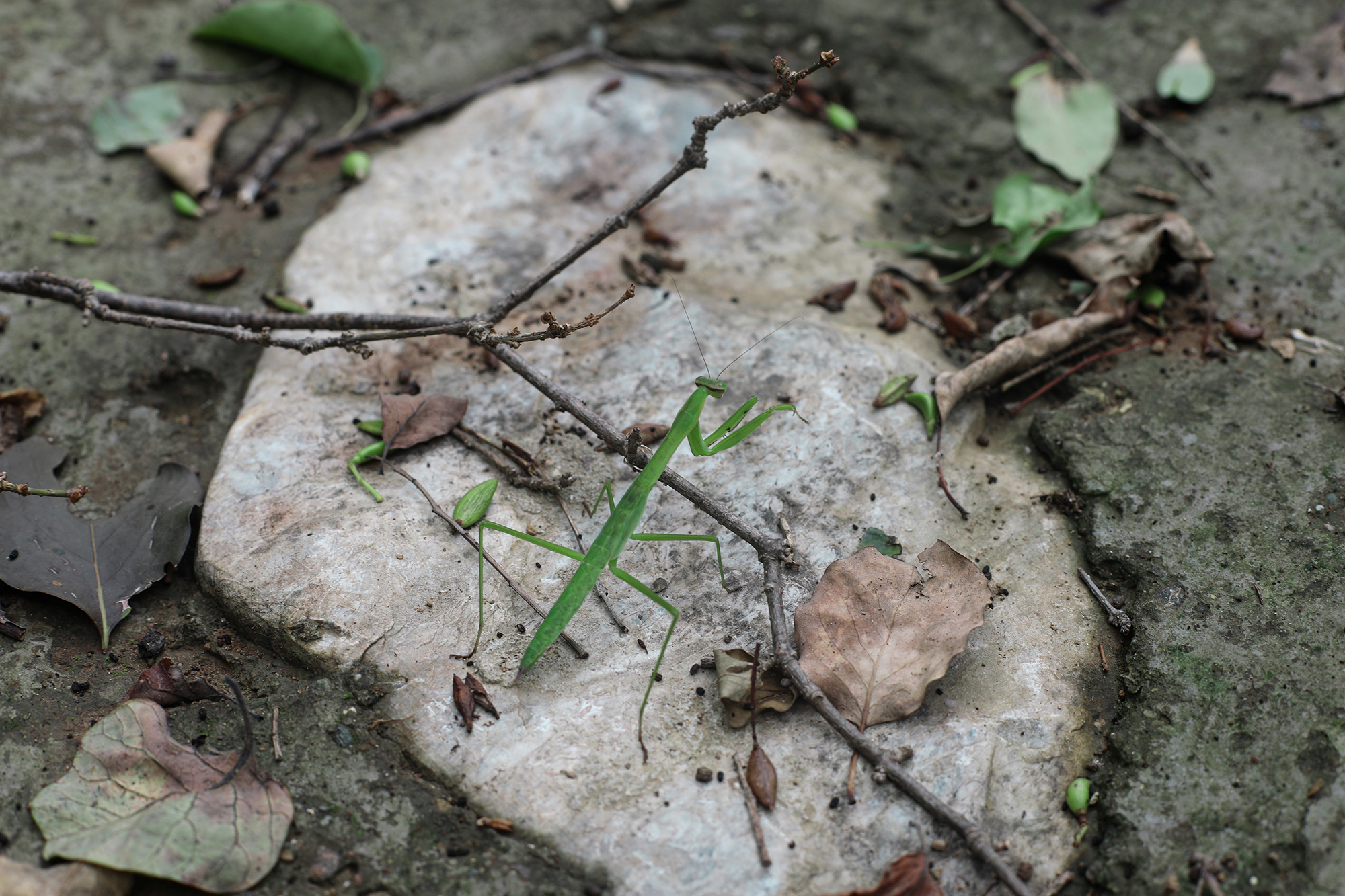 京郊房山登山路线,房山东港登山步道