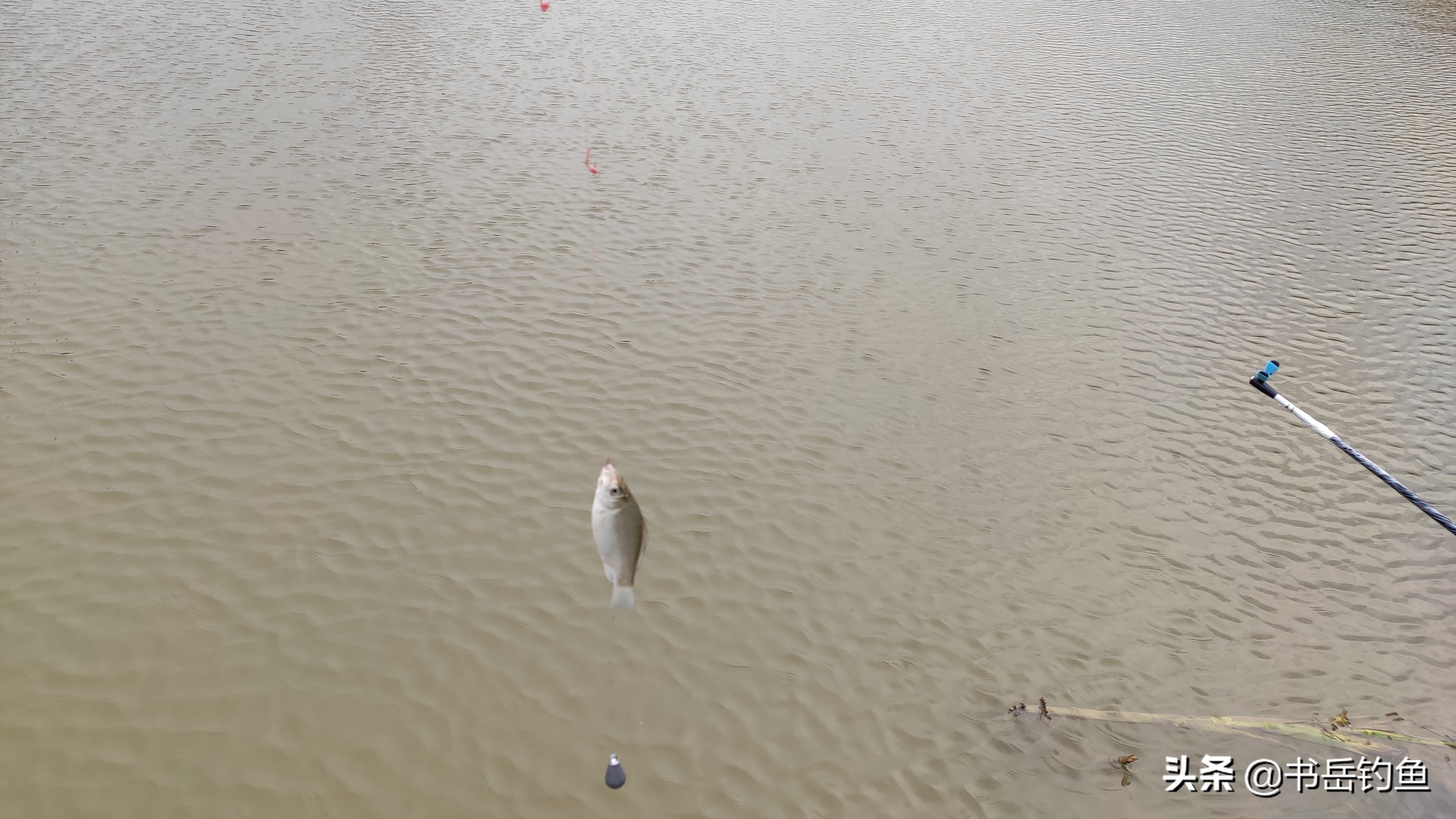 抛竿饵笼爆炸钩,抛竿串钩钓笼使用教程