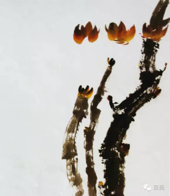 张克申写意牡丹画法教程,邵丹写意牡丹各阶段画法