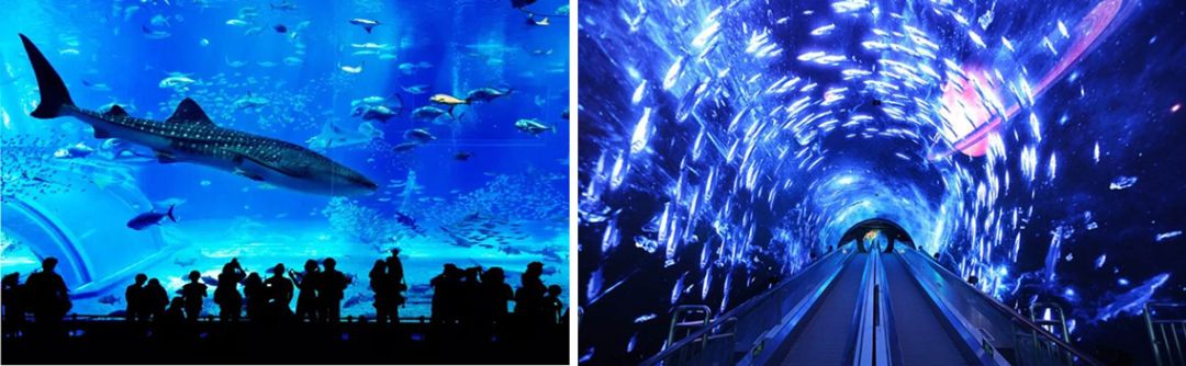 广州正佳广场新模式,广州正佳广场的未来发展策略