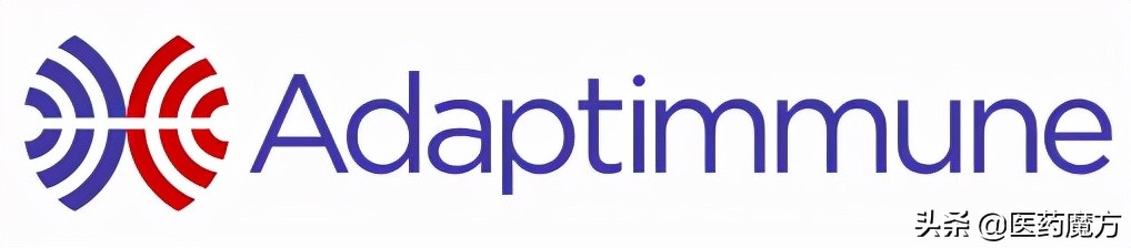 离上市又近一步！TCR-T疗法临床进展喜人，各大公司公布积极数据