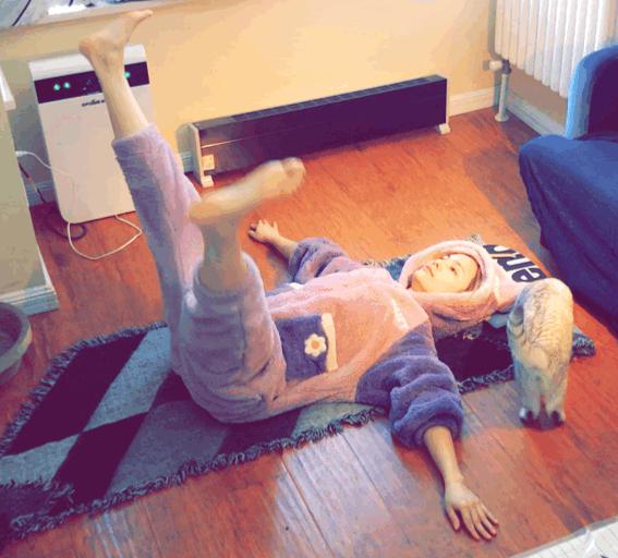 紧致大腿内侧赘肉简易动作,大腿内侧紧实的有效的方法