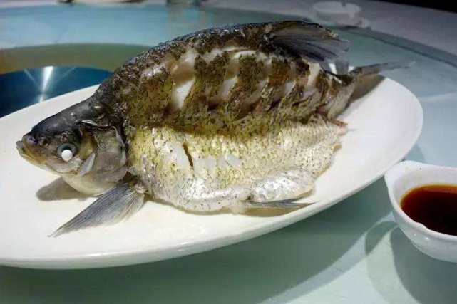 鱼怎么会吃出柴油味,自己家做熟的鱼有鱼腥味怎么办
